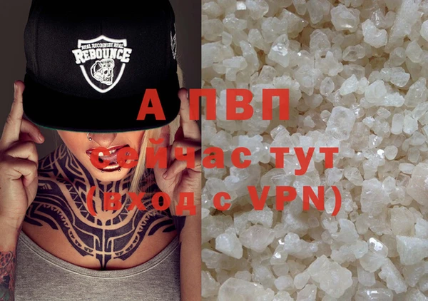 таблы Надым