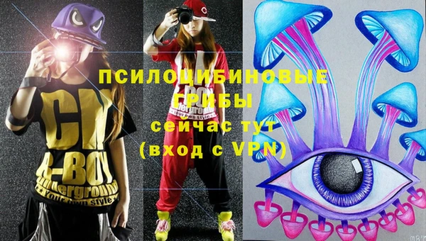 таблы Надым