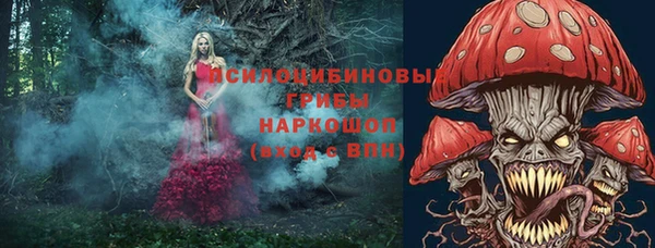 таблы Надым