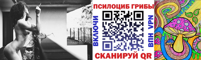 Купить закладки  Михайлов  Псилоцибиновые грибы Cubensis 